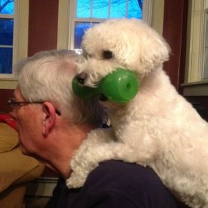 Meet your Posher, John